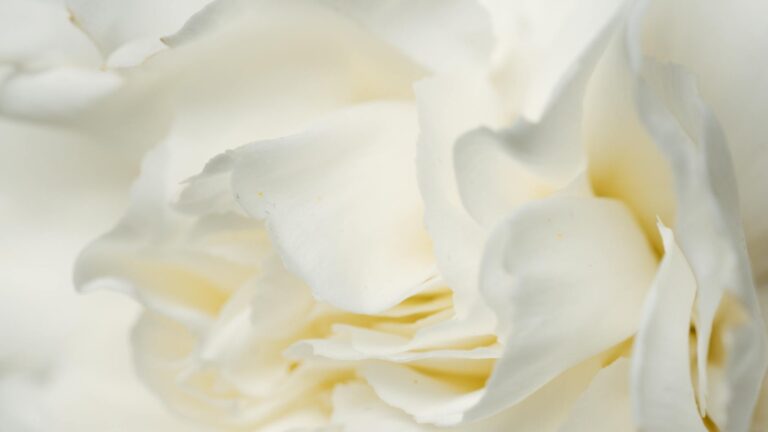 Cele mai bune meserii pentru viitorul apropiat în diverse domenii.