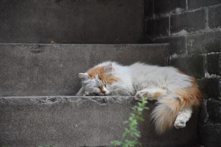 De ce simți oboseală chiar și după 8 ore de somn