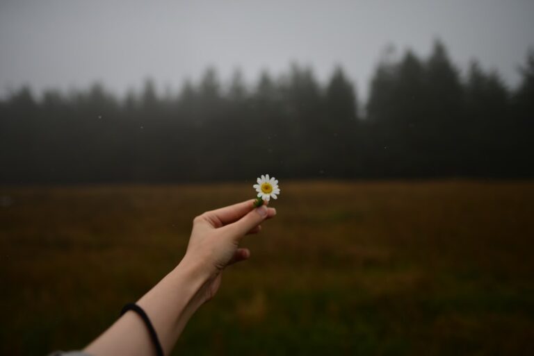 Citate despre speranță când nu mai vezi ieșire