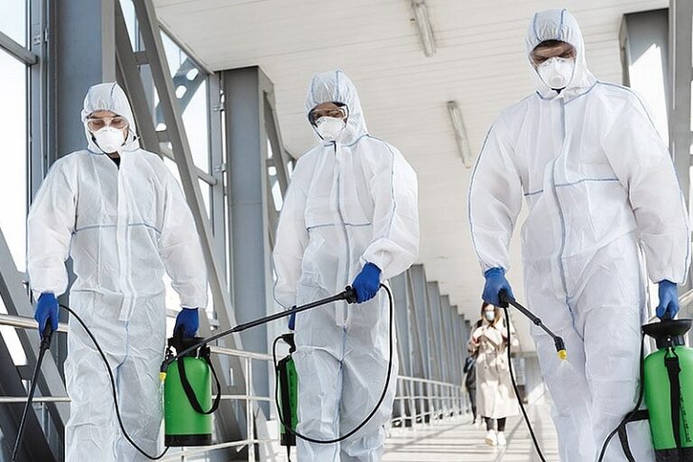 Soluții eficiente de atac pentru firmele de deratizare cum să alegi și să optimizezi serv