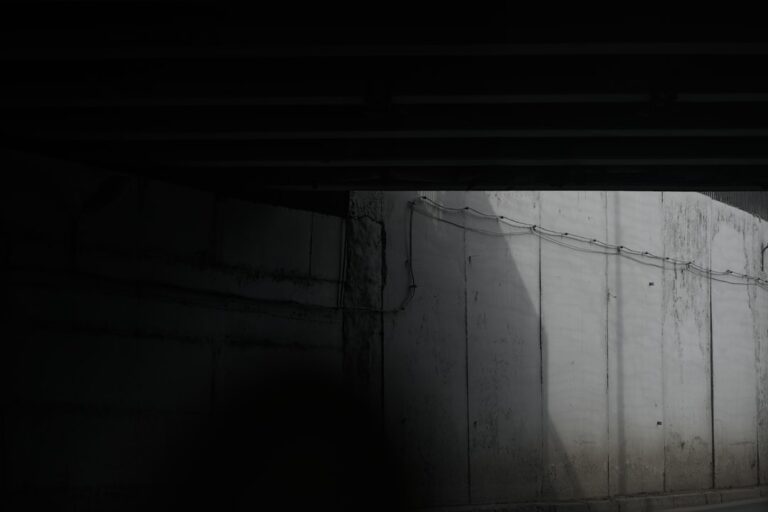 Ce trebuie să știi despre retrocedări