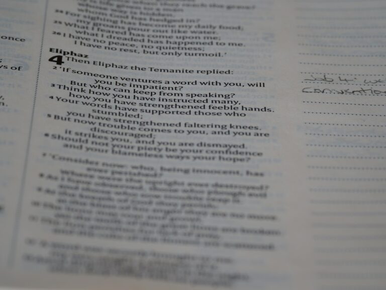 Ce trebuie să conțină un contract de închiriere legal