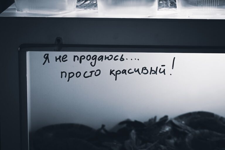 Se scrie ridică-te sau ridicate?