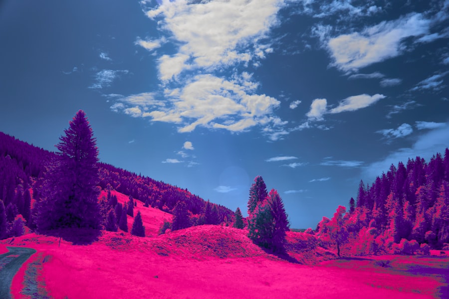 Photo dream interpretation