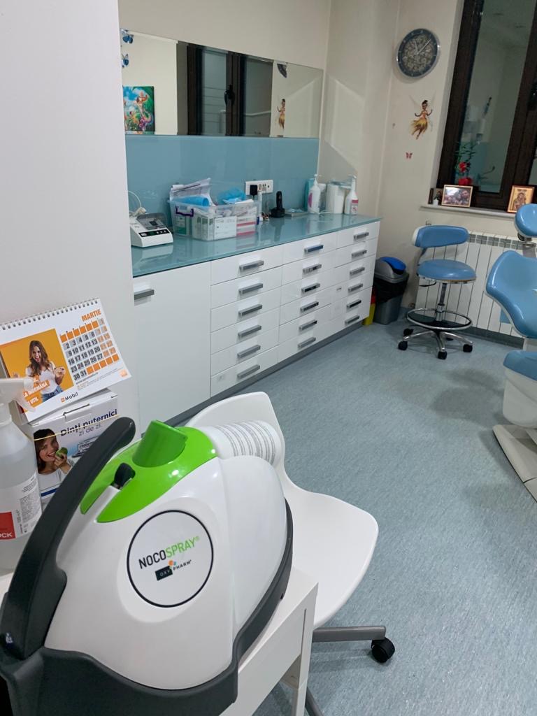 Servicii profesionale eliminare plosnite – cum arata un deviz corect si transparent