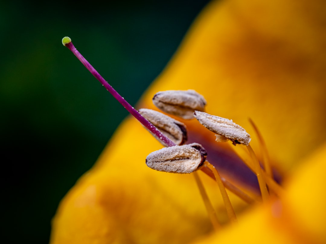 Photo health maintenance