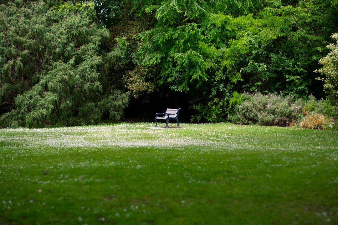 Photo peacefulness