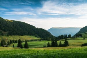 Configurare și Utilizare Eficientă a Google Analytics 4