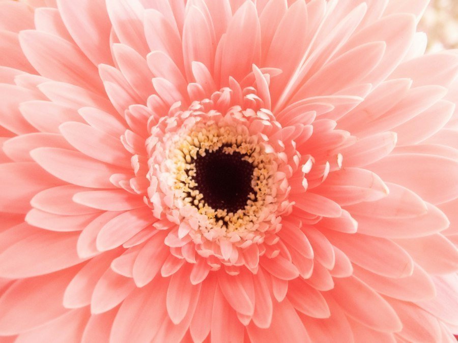 gentleness