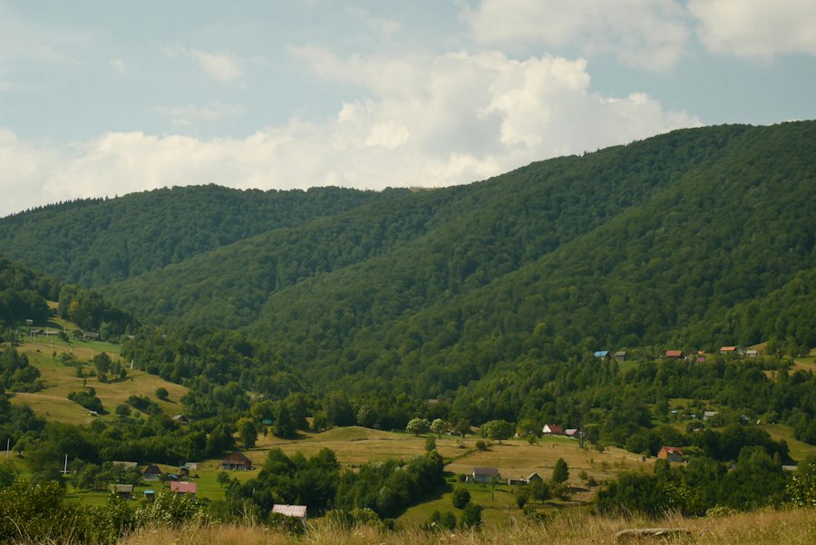 motivația